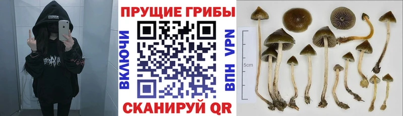 Псилоцибиновые грибы MAGIC MUSHROOMS  Сосногорск 