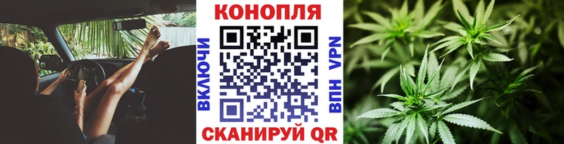 Конопля план  купить наркотик  Сосногорск 